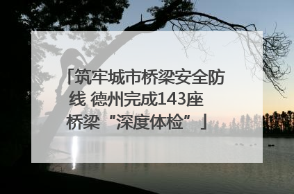 筑牢城市桥梁安全防线 德州完成143座桥梁“深度体检”