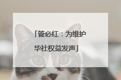 管必红：为维护华社权益发声