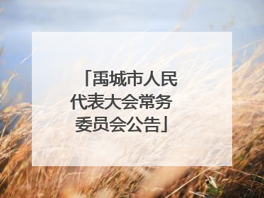 禹城市人民代表大会常务委员会公告