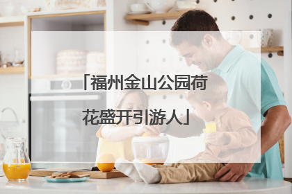 福州金山公园荷花盛开引游人