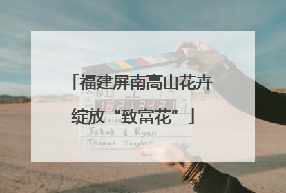 福建屏南高山花卉绽放“致富花”