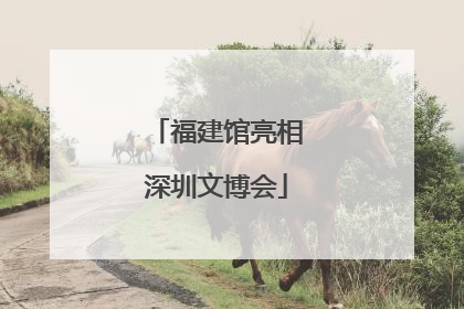 福建馆亮相深圳文博会