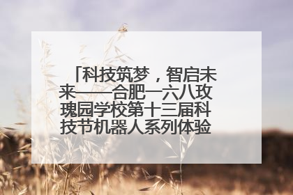 科技筑梦，智启未来——合肥一六八玫瑰园学校第十三届科技节机器人系列体验赛燃动校园