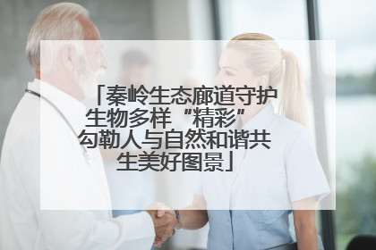 秦岭生态廊道守护生物多样“精彩” 勾勒人与自然和谐共生美好图景