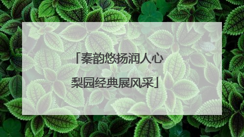 秦韵悠扬润人心 梨园经典展风采