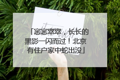 窸窸窣窣，长长的黑影一闪而过！北京有住户家中蛇出没