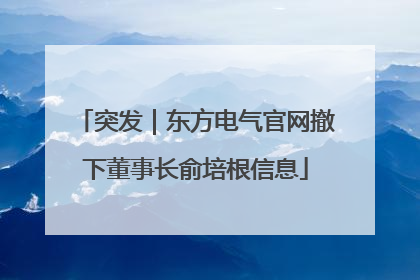 突发｜东方电气官网撤下董事长俞培根信息