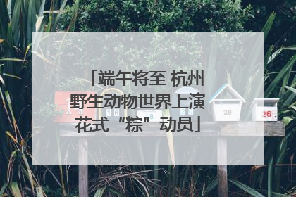 端午将至 杭州野生动物世界上演花式“粽”动员