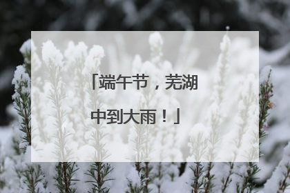 端午节，芜湖中到大雨！