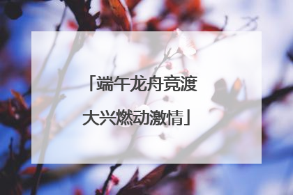 端午龙舟竞渡 大兴燃动激情