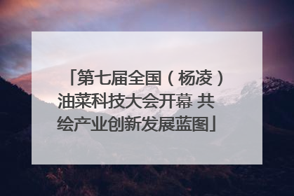 第七届全国（杨凌）油菜科技大会开幕 共绘产业创新发展蓝图