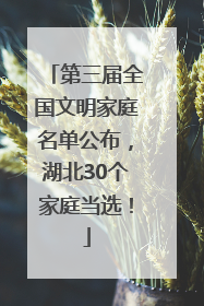 第三届全国文明家庭名单公布，湖北30个家庭当选！