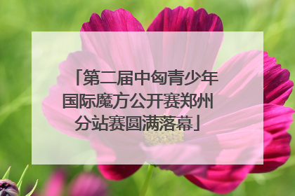 第二届中匈青少年国际魔方公开赛郑州分站赛圆满落幕