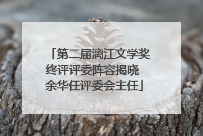第二届漓江文学奖终评评委阵容揭晓 余华任评委会主任