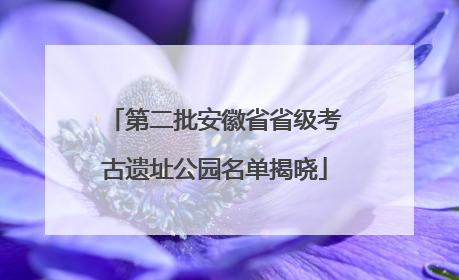 第二批安徽省省级考古遗址公园名单揭晓