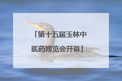 第十五届玉林中医药博览会开幕