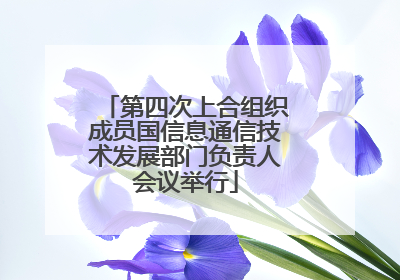 第四次上合组织成员国信息通信技术发展部门负责人会议举行