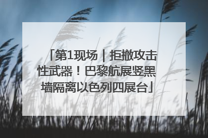 第1现场｜拒撤攻击性武器！巴黎航展竖黑墙隔离以色列四展台