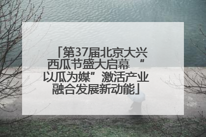 第37届北京大兴西瓜节盛大启幕 “以瓜为媒”激活产业融合发展新动能