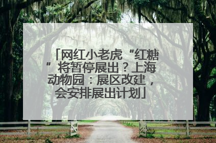 网红小老虎“红糖”将暂停展出？上海动物园：展区改建，会安排展出计划