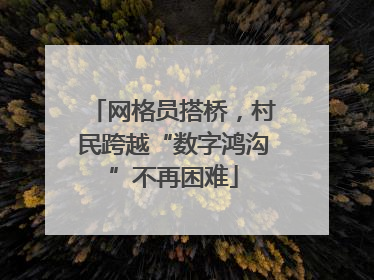 网格员搭桥，村民跨越“数字鸿沟”不再困难