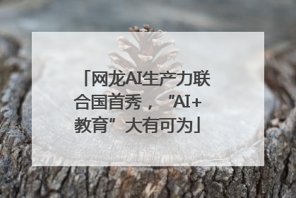 网龙AI生产力联合国首秀，“AI+教育”大有可为