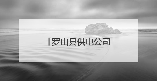 罗山县供电公司：圆满完成高考电力保供任务