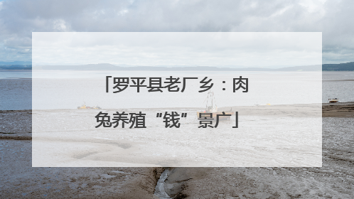 罗平县老厂乡：肉兔养殖“钱”景广