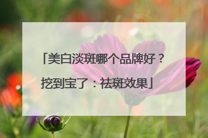 美白淡斑哪个品牌好？挖到宝了：祛斑效果