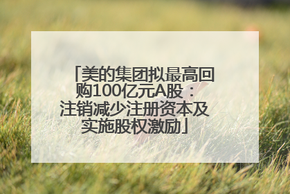 美的集团拟最高回购100亿元A股：注销减少注册资本及实施股权激励