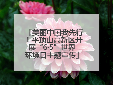 美丽中国我先行！平顶山高新区开展“6·5”世界环境日主题宣传