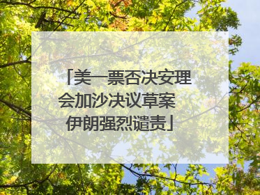 美一票否决安理会加沙决议草案 伊朗强烈谴责