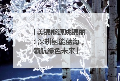 美锦能源姚锦丽：深耕氢能蓝海，领航绿色未来