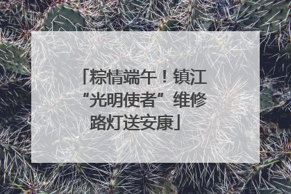 粽情端午！镇江“光明使者”维修路灯送安康