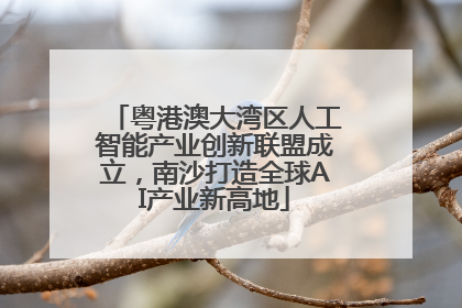 粤港澳大湾区人工智能产业创新联盟成立，南沙打造全球AI产业新高地