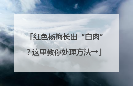 红色杨梅长出“白肉”？这里教你处理方法→