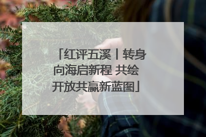 红评五溪丨转身向海启新程 共绘开放共赢新蓝图
