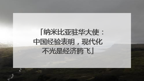 纳米比亚驻华大使：中国经验表明，现代化不光是经济腾飞
