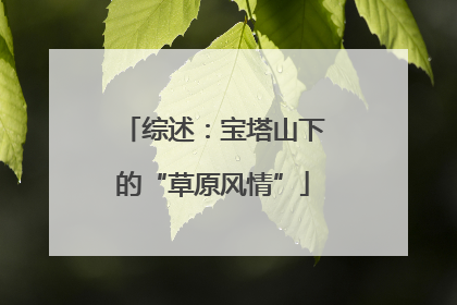 综述：宝塔山下的“草原风情”