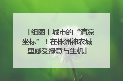 组图丨城市的“清凉坐标”！在株洲神农城里感受绿意与生机