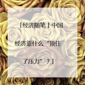 经济随笔丨中国经济靠什么“顶住了压力”？