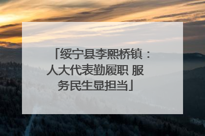 绥宁县李熙桥镇：人大代表勤履职 服务民生显担当