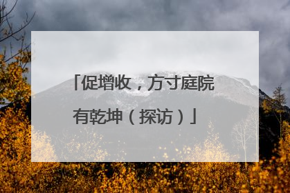 促增收，方寸庭院有乾坤（探访）