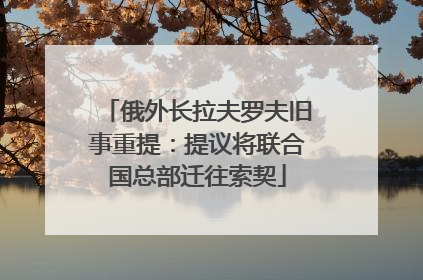 俄外长拉夫罗夫旧事重提：提议将联合国总部迁往索契