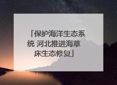 保护海洋生态系统 河北推进海草床生态修复