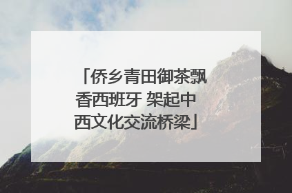 侨乡青田御茶飘香西班牙 架起中西文化交流桥梁