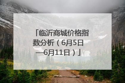 临沂商城价格指数分析（6月5日—6月11日）