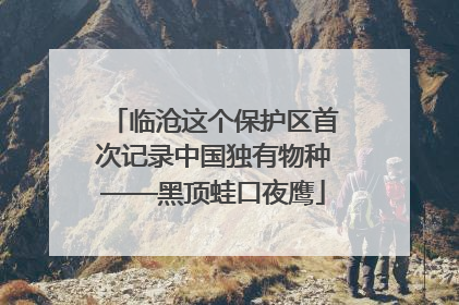 临沧这个保护区首次记录中国独有物种——黑顶蛙口夜鹰