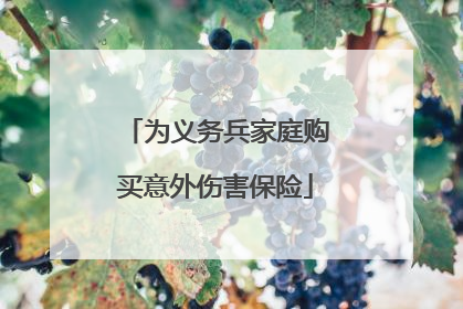 为义务兵家庭购买意外伤害保险