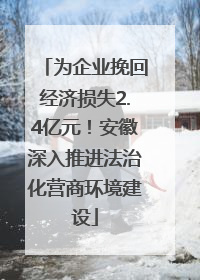为企业挽回经济损失2.4亿元！安徽深入推进法治化营商环境建设